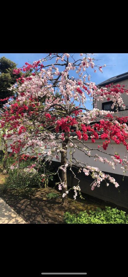 Apartment 桜宿28 Square Meter King Size Bed With Sofa Bed, Garden Präfektur Tokio