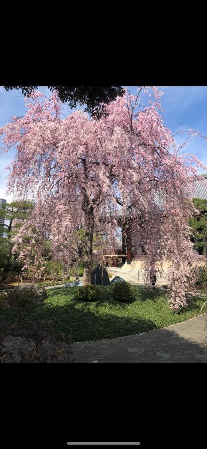 桜宿28 Square Meter King Size Bed With Sofa Bed, Garden * Präfektur Tokio